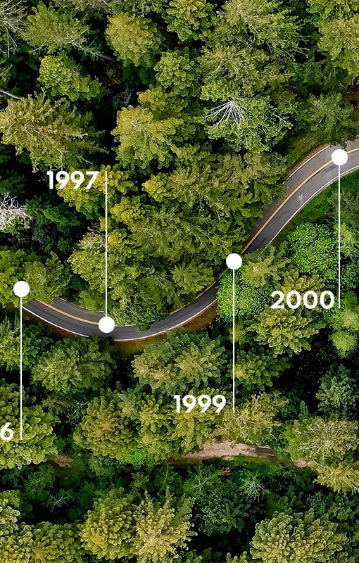 Eine Straße durch den Wald aus der Vogelperspektive